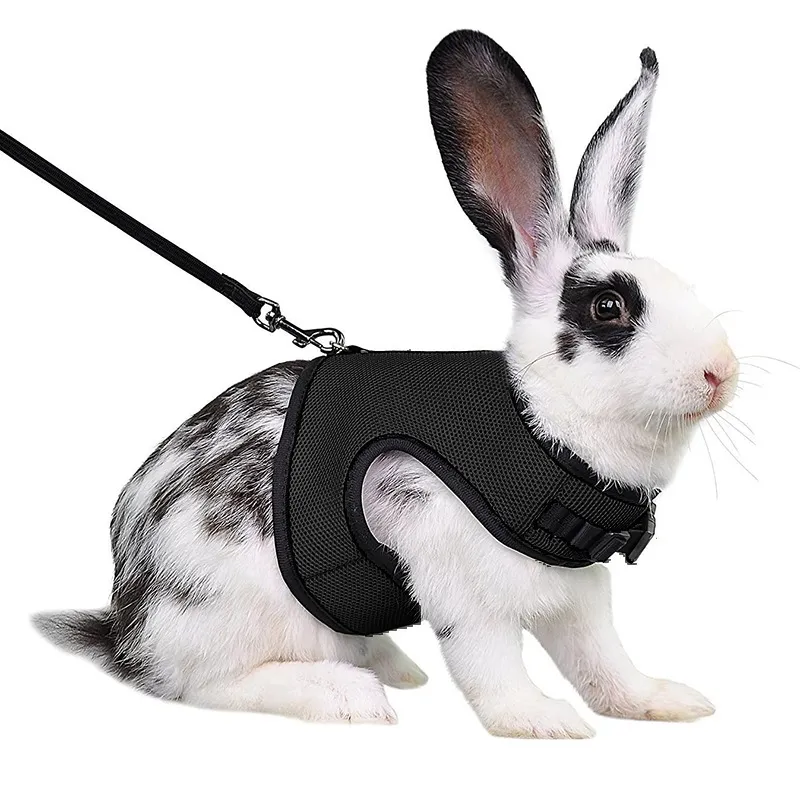 Comfortable Rabbit Harness and Leash Set - Safe Outdoor Walking for ...