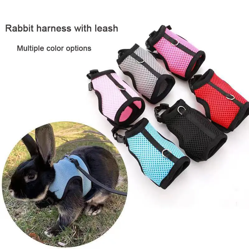 Comfortable Rabbit Harness and Leash Set - Safe Outdoor Walking for ...