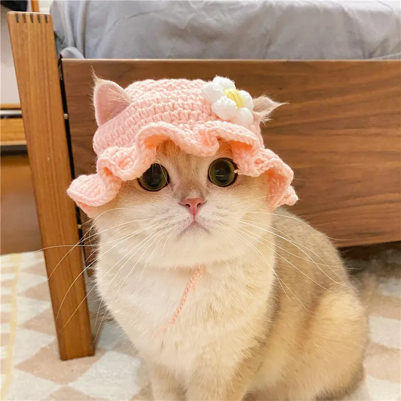 Cute Knitted Cat Hat with Elastic - Autumn Winter Pet Puppy