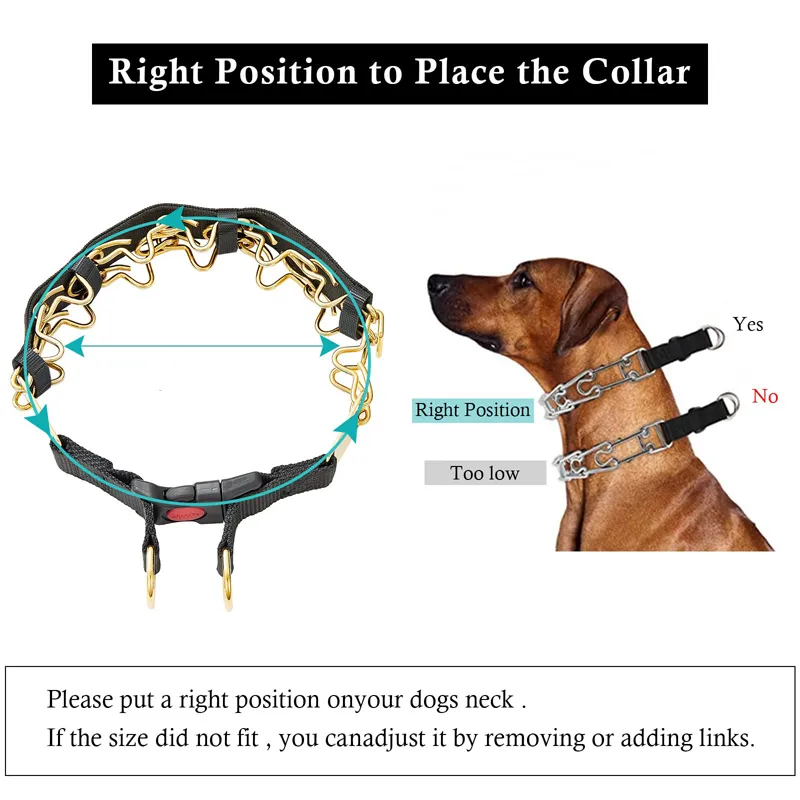 Choke Collar Placement Pinch Collar Sizing Fit Prong Collar Prong