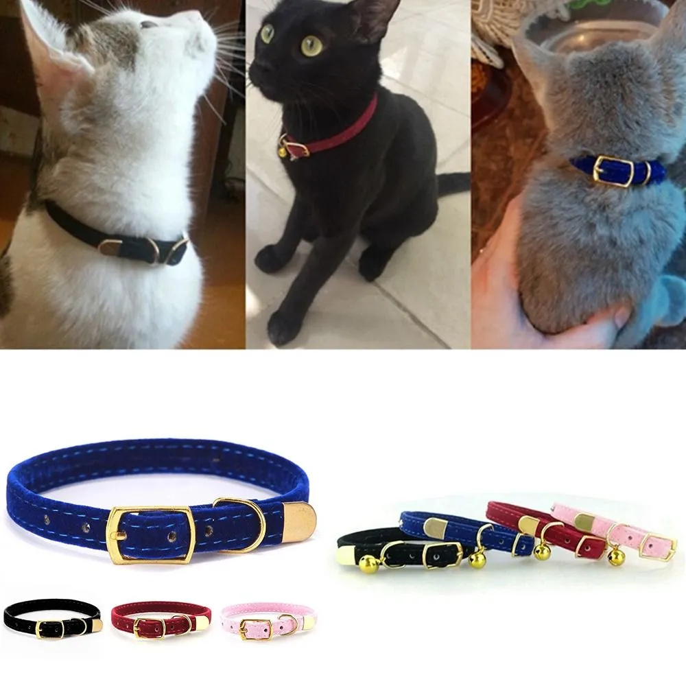 bespoke cat collars