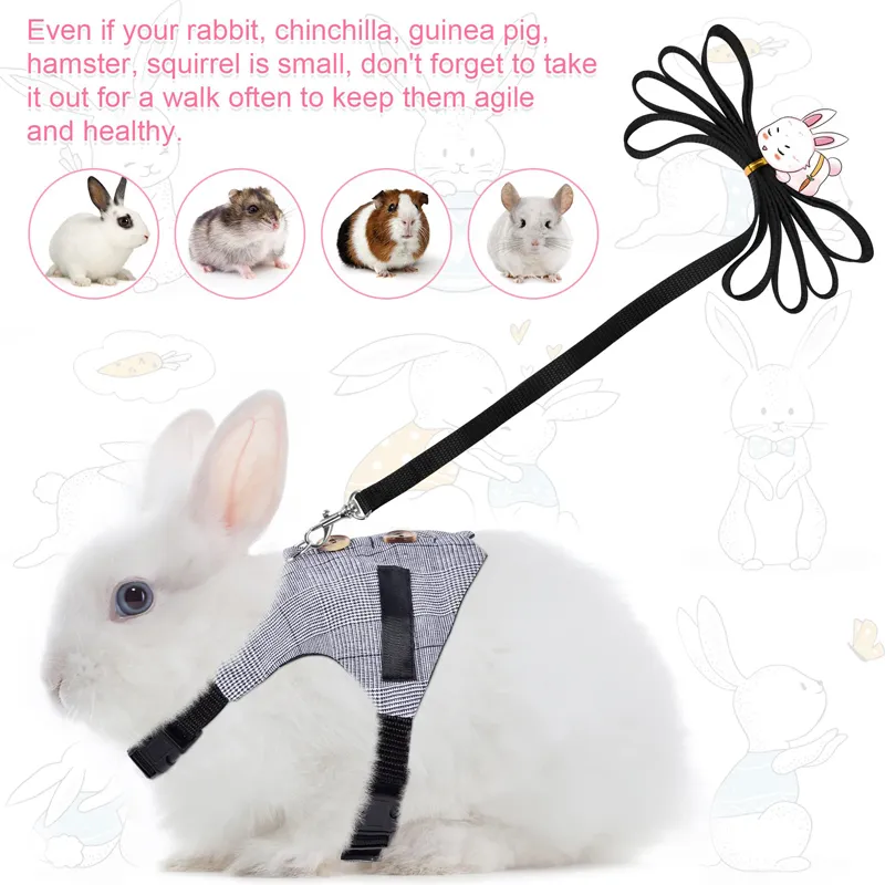 AA Cute Animal Harness Guinea Pig Forret Hamster Rabbit Squirrel Vest Clothes Le