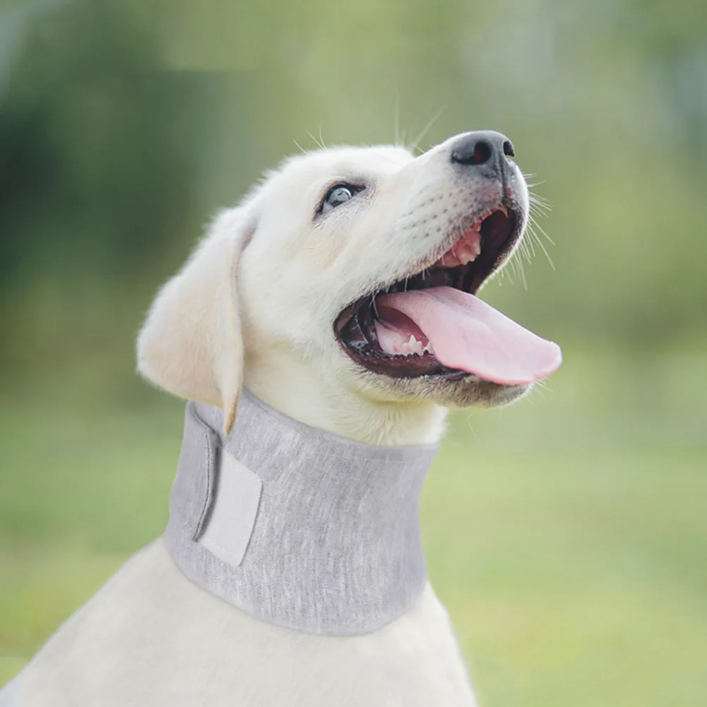 Dog Neck Brace for Pet Support: Cervical Vertebral Sprains
