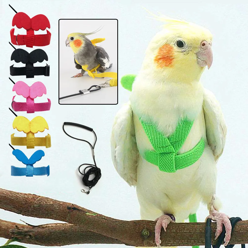 Bird Flight Harness Vest, Parrot Flight Suit With Leash For Parakeets Cockatiels, Bird Flying Clothes With Rope And Handle For Outdoor