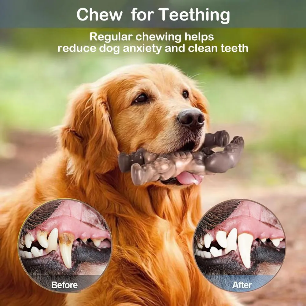 Chew Toys Best Dog Chews For Large Dogs Dog Bones S For Aggressive