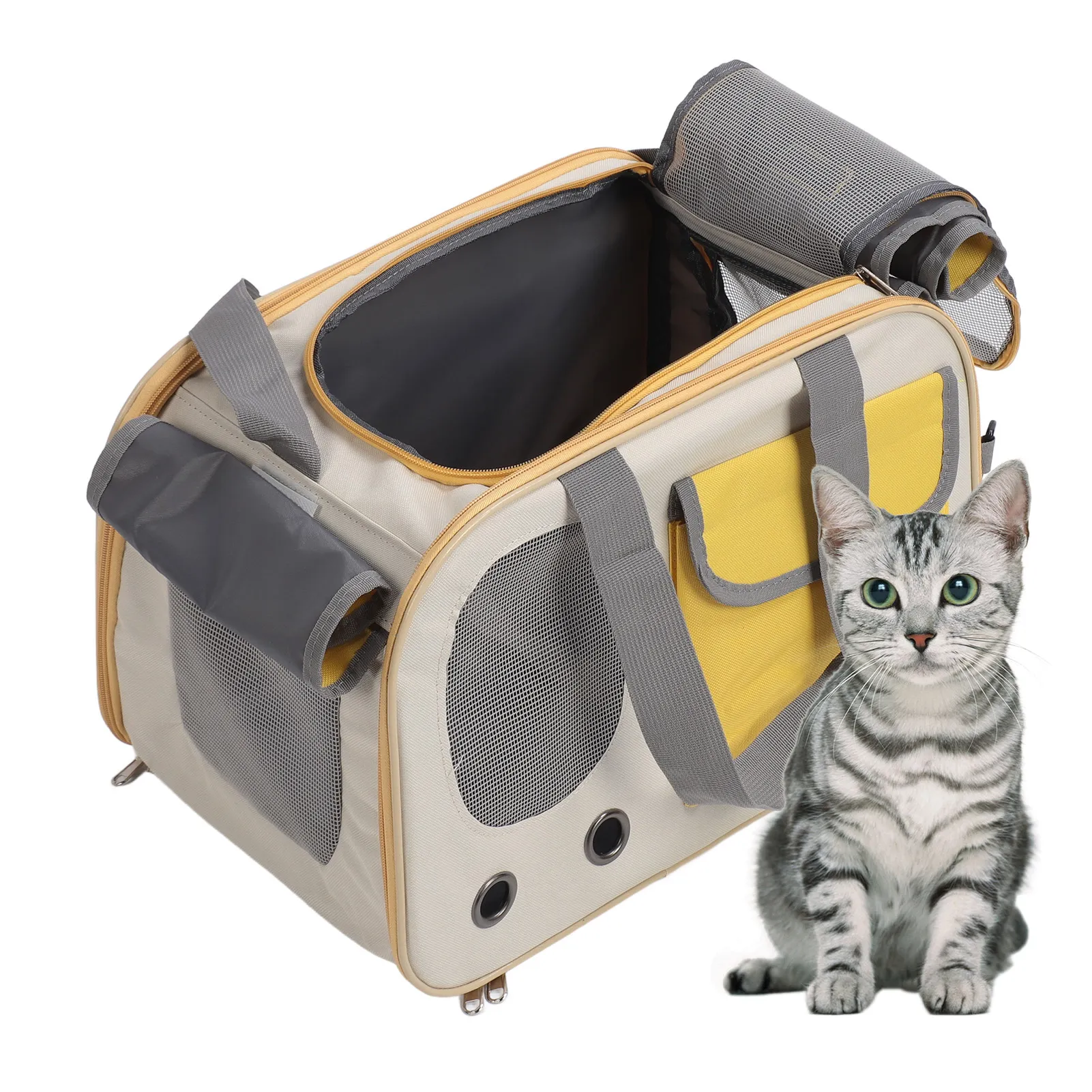 Amazon Caisse De Transport Chat Souple Porte Chat Pliable, Sac De