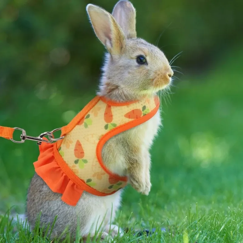 Bunny Rabbit Harness Escape-Proof Rabbit Harness & Leash Set ...