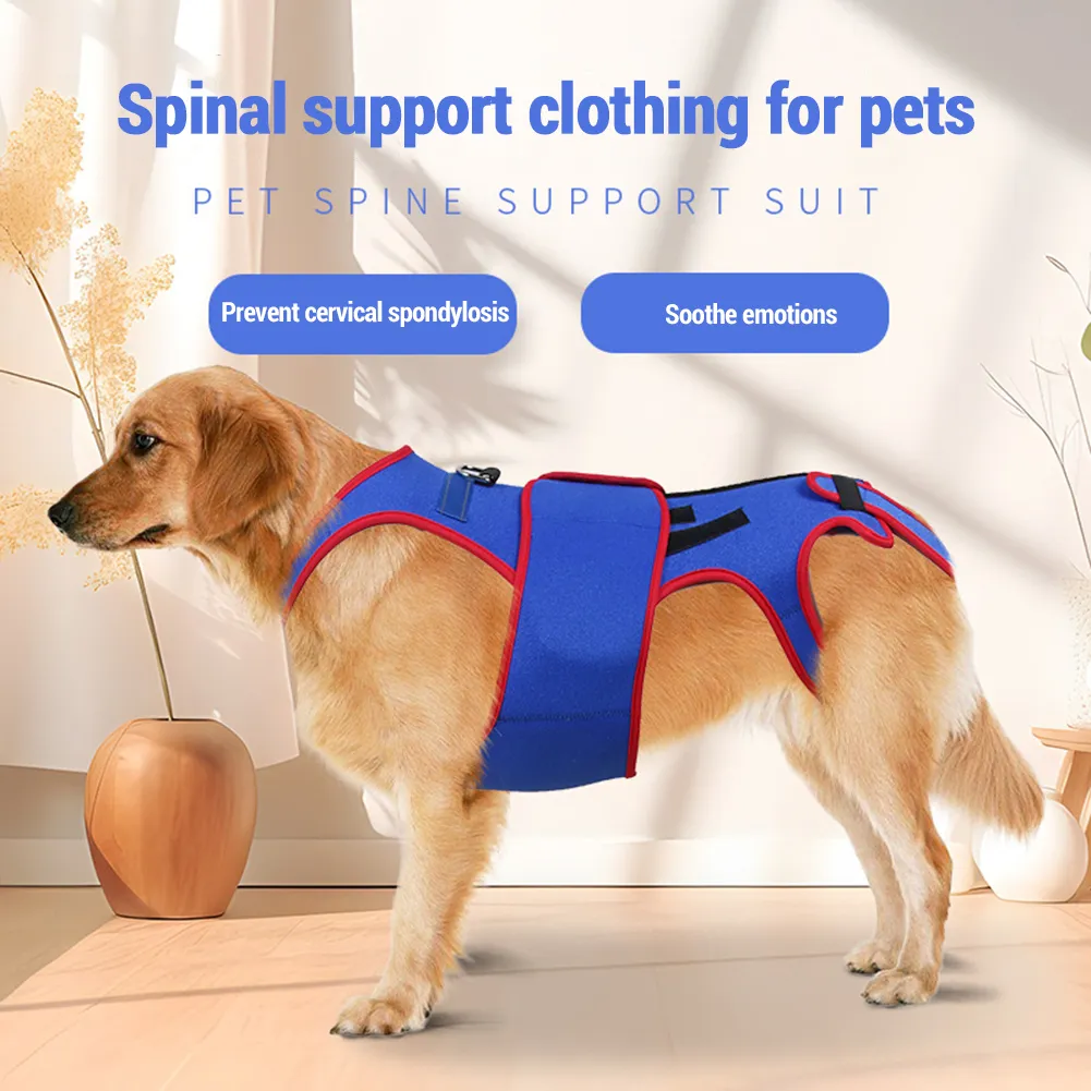 Back brace for dogs with ivdd hotsell