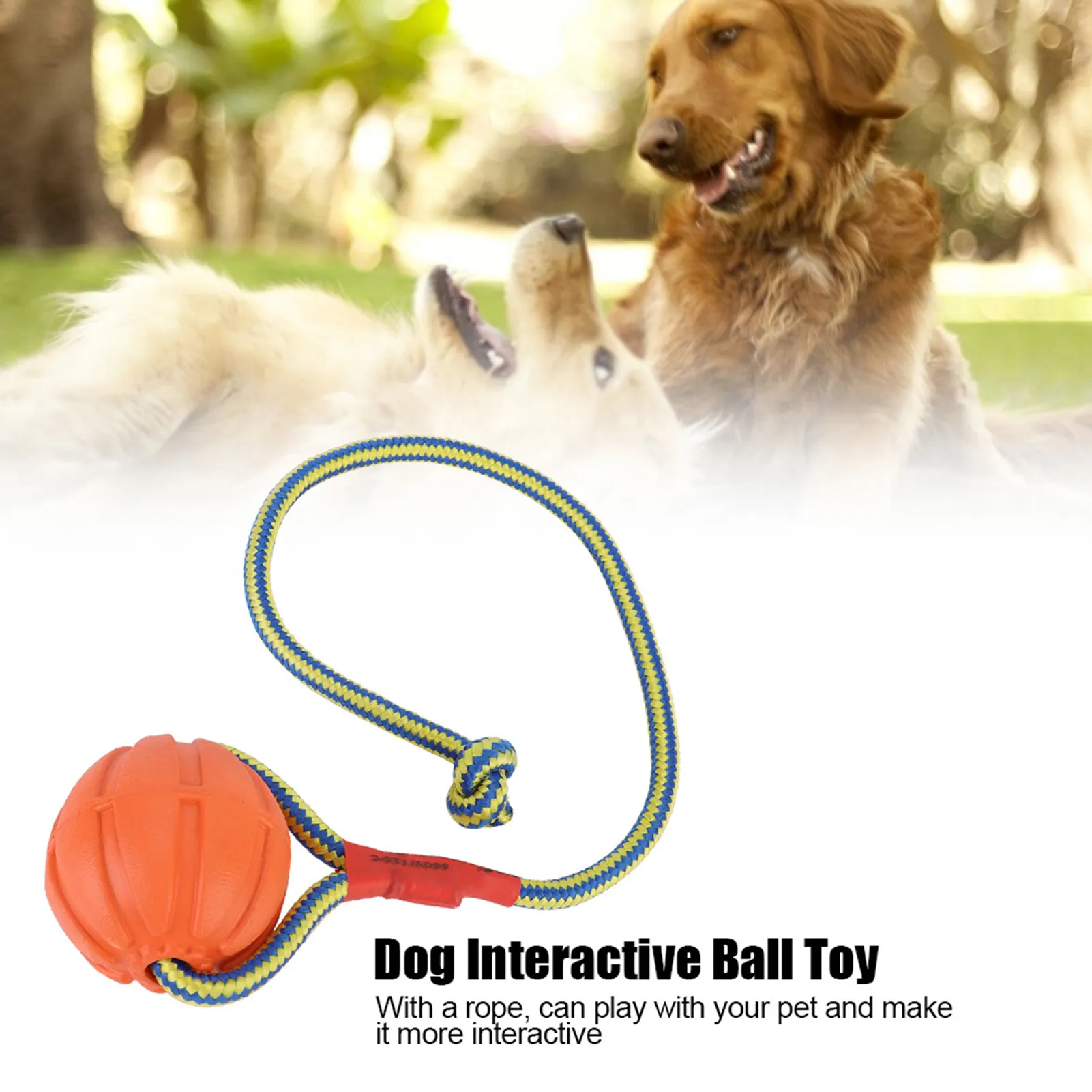 amount of water in a dog's bowl chegg LE TAUCI PET Dog Water Bowl Ceramic, Chew-Resistant Slow Feeder Dog Bo   LETAUCI