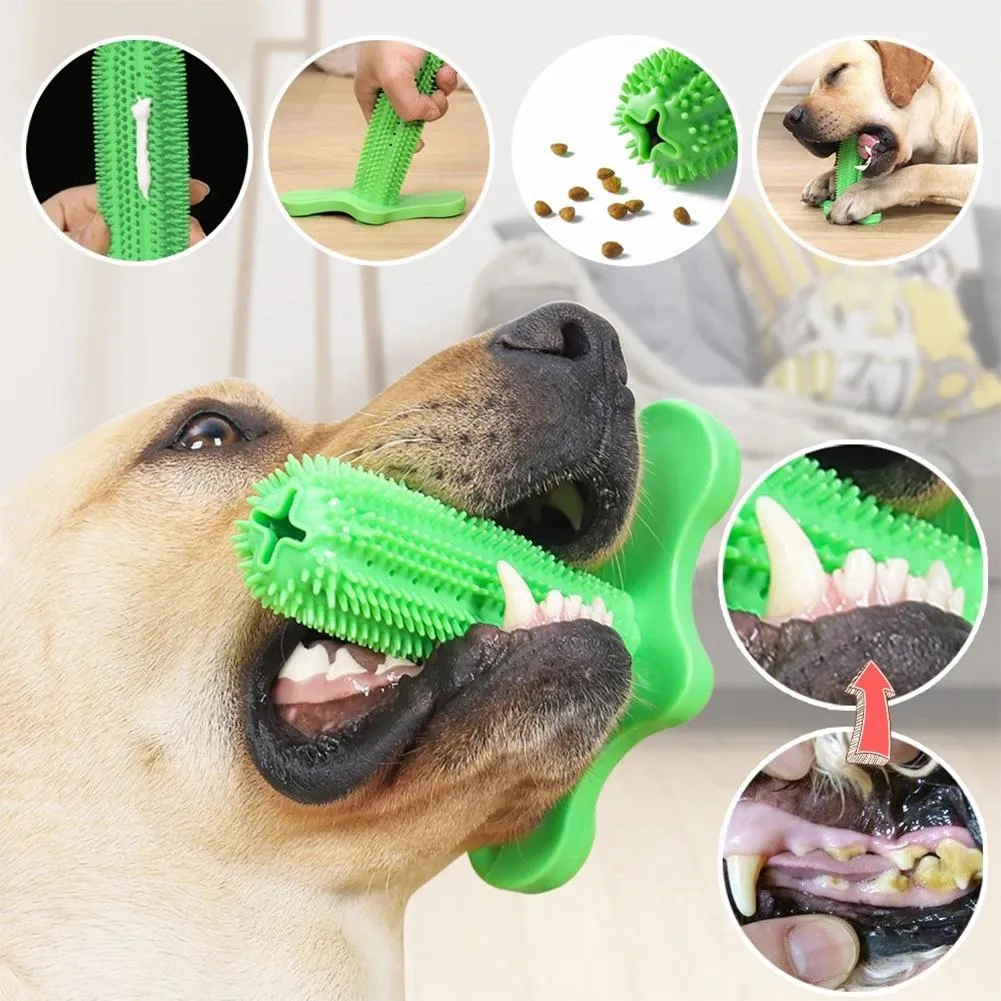 Save Big on Bulk Dog Toy That Brushes Teeth Canine Toothbrush Bite Proof  Dog Toys: Rubber Molar Teeth Cleaning Chew Toy For Training Interactive 