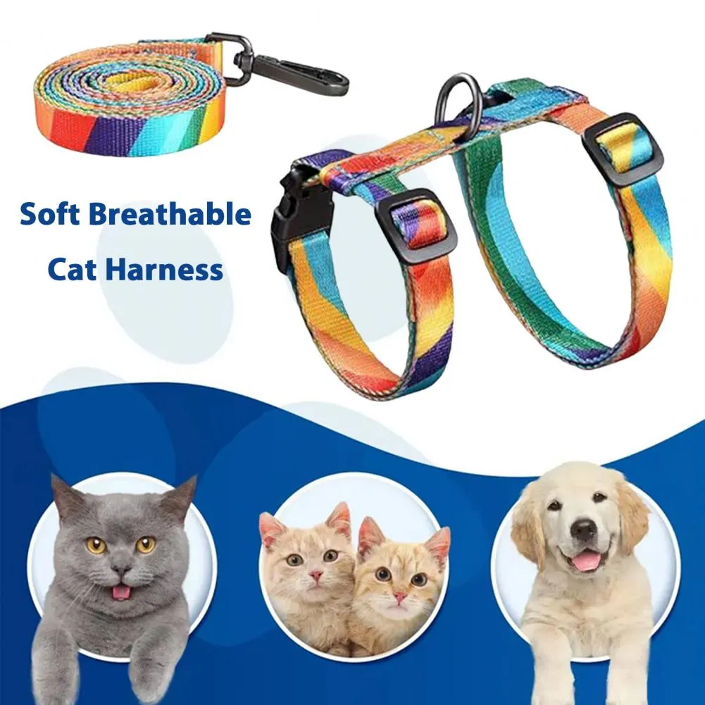 Harnais Réglable Pour Chat Et Petit Chien - Anti-fuite, Doux Et Sécurisé - Avec Laisse De 120 Cm - 11