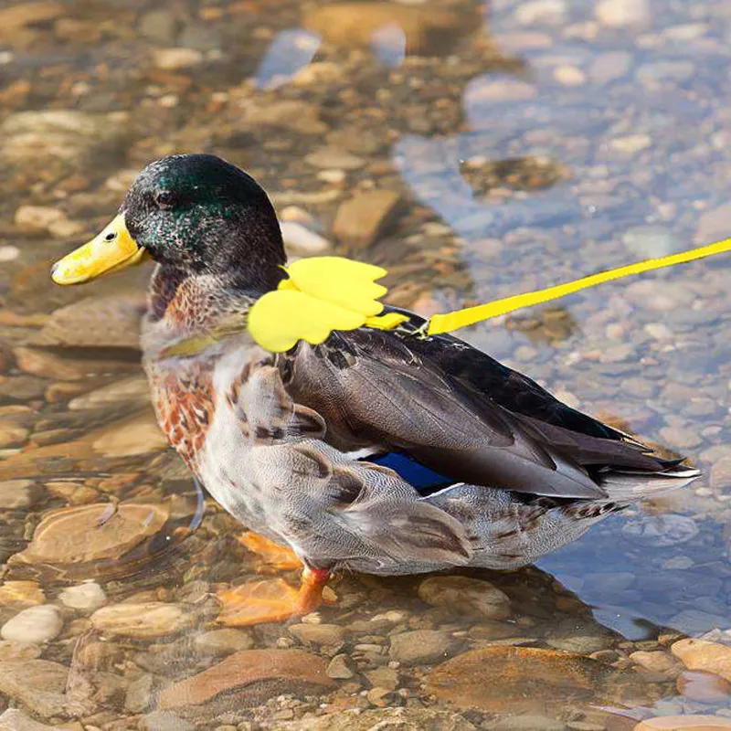 KAMA BRIDAL Duck Walking Harness And Leash Chicken Duck Outdoor Training Rope Adjustable Rope For Pet Poultry Hen Cock (S, Yellow