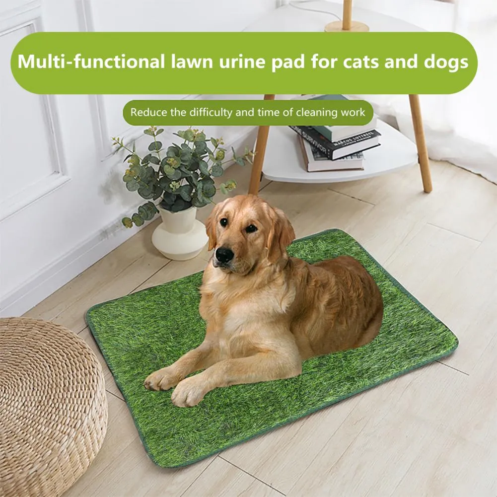 Clean pway dog pee from bed
