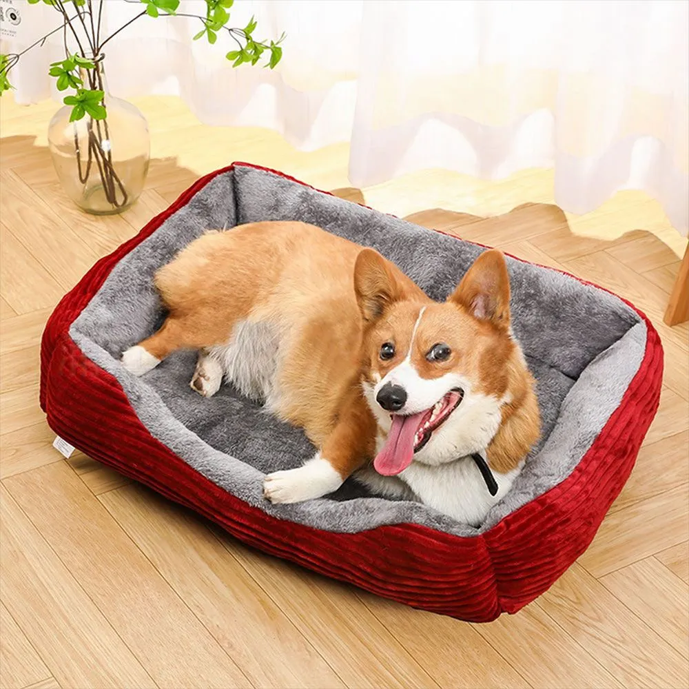 Dog Beds Keeping A Dog House Warm 