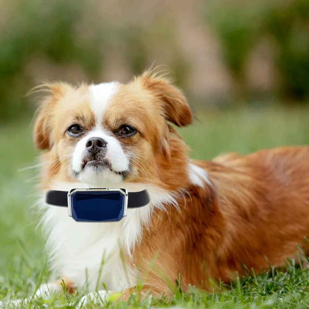 Wholesale Plastic Pet Tracker Set For Dogs And Cats Activity Tracker Collar With Excellent Location Hagen Pet Products From Dh911614078 37.83 DHgate.Com