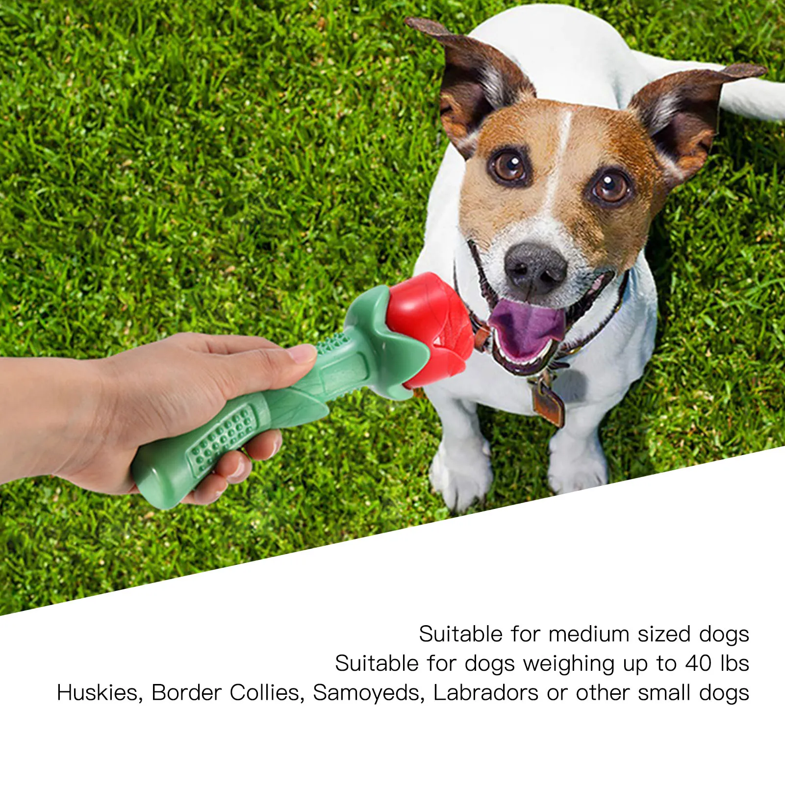 Bite Proof Dog Toys Rose Flower Chew Toy For Medium... From Dh5285002,  $17.08 | DHgate.Com