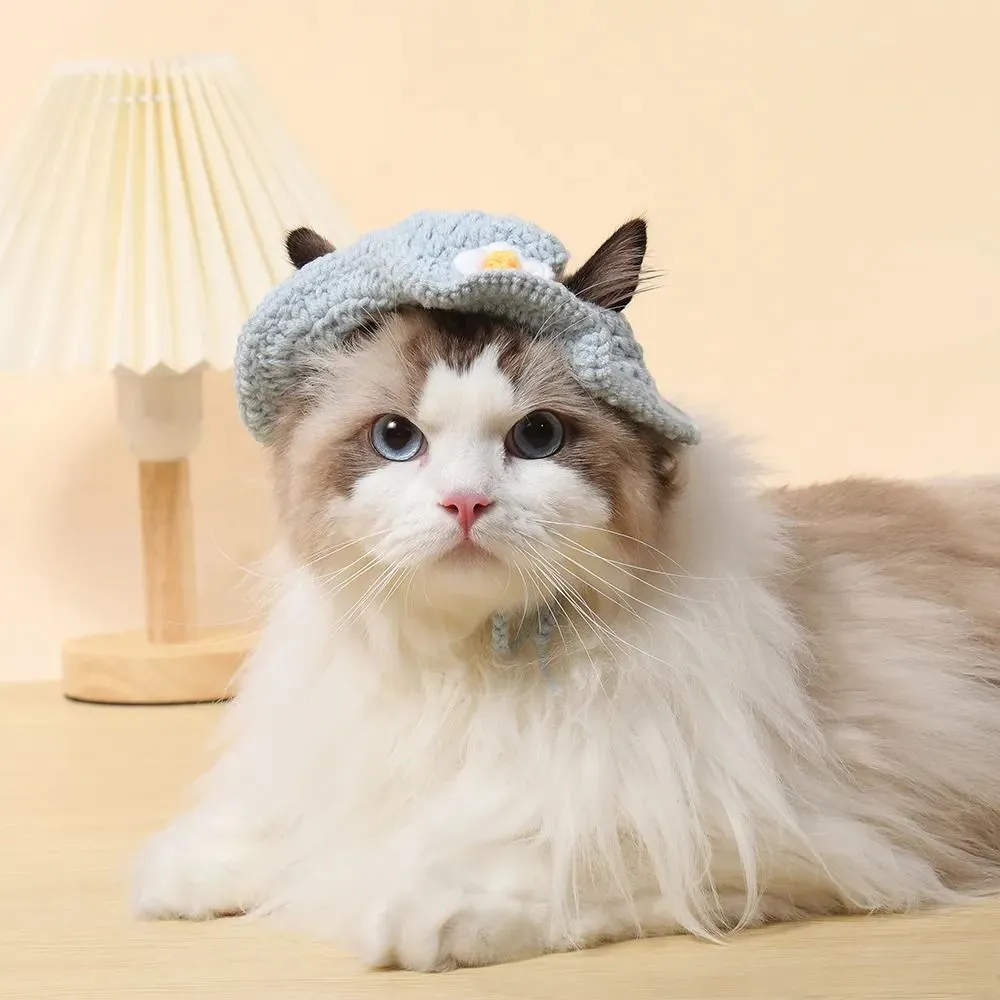 Knitted Cat Hat with Elastic - Autumn Winter Pet Puppy