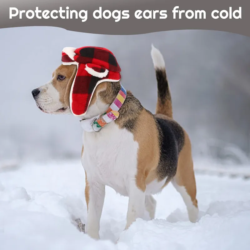 Puppy winter hat sale