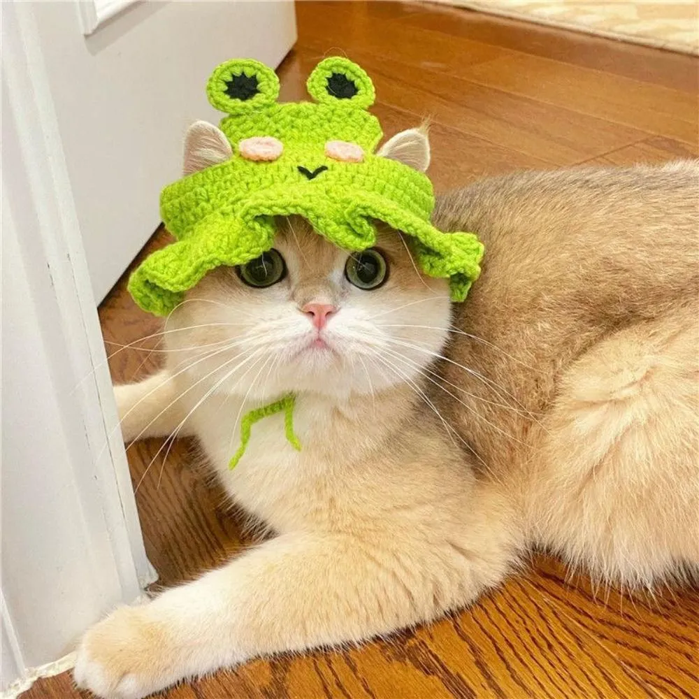 Knitted Cat Hat with Elastic - Autumn Winter Pet Puppy