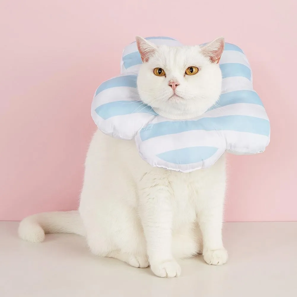 Soft Elizabethan Cone Adjustable Cat Surgery Collar For Post Surgical Recovery And Neck Pillow Ideal For Cats From Dh1100062029 18.29 DHgate.Com