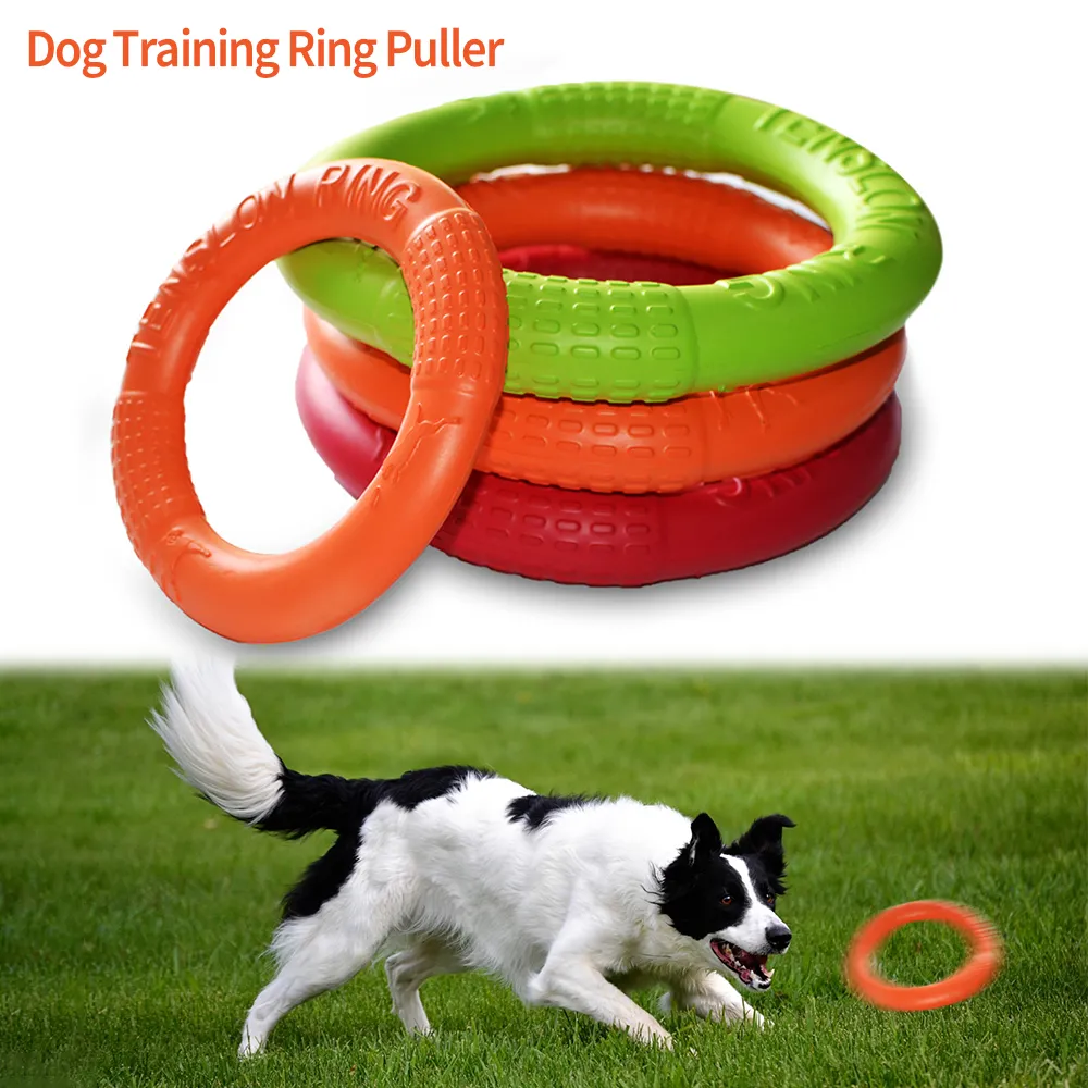 Interactive Dog Toy Training Ring Puller Flying Disk, Chewing, Outdoor  Play, Puppy Dog Games