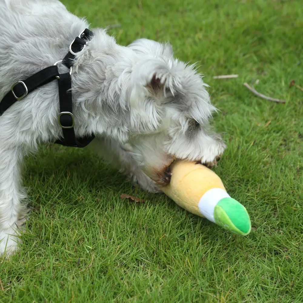Washable Pet Toys: Cute Dog Wine Bottle Toy Soft Plush Champagne Rose Wine  Bottle Pet Toy From Dh912324407, $14.07