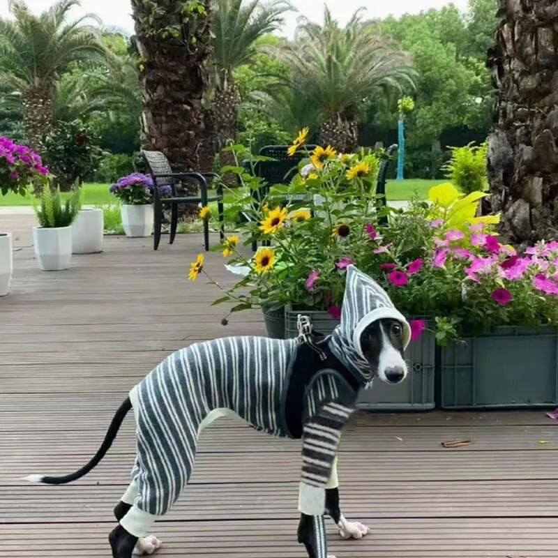 Italian Greyhound Striped Dog Clothing Stretch Autumn Winter Vest