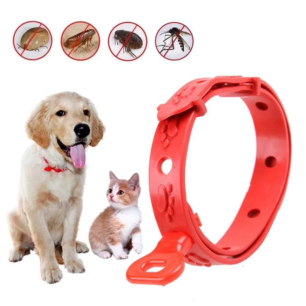 Save Big on Bulk Flea Tick And Mosquito Collar For Dogs Flea And Tick  Collar Silicone Adjustable Dogs Cats Collar 24 Month Protection Anti  Mosquitoes
