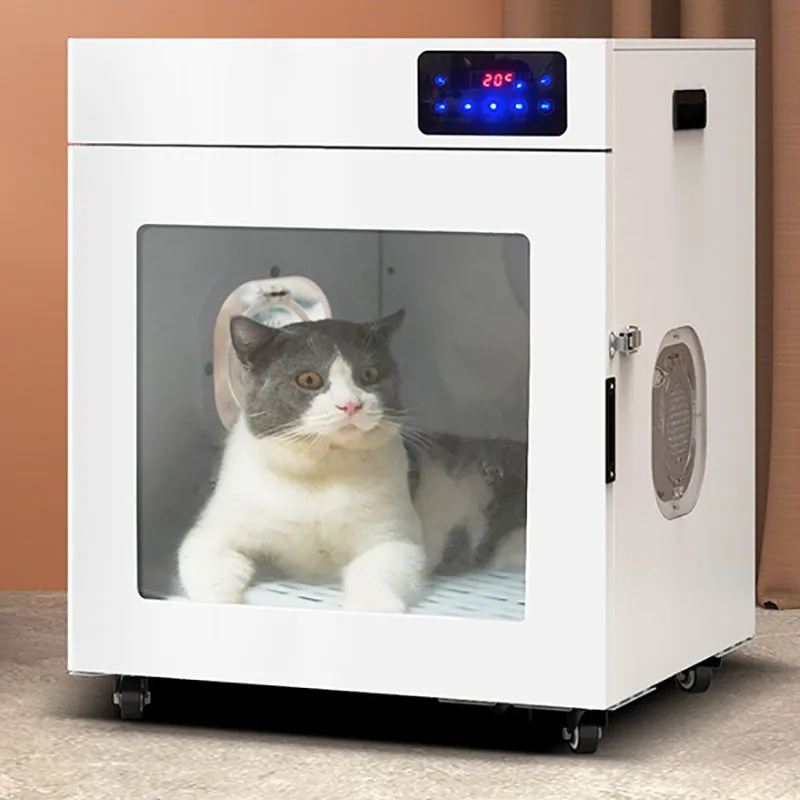 Cat hair dryer box sale