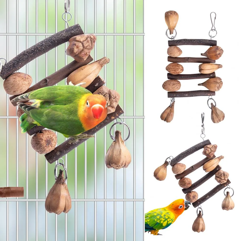 Parakeet Toys, Colorful Wooden Chew Toy For Parrots Safe Bird Cage