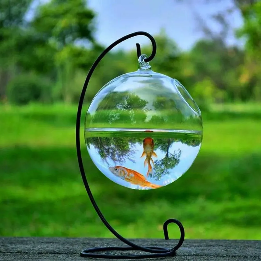 Aquarium Fish Tank Prices