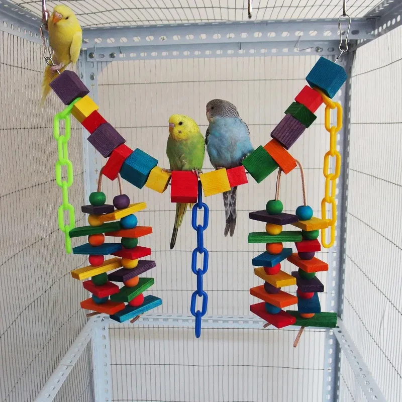 Amazon African Grey Parrot Plush Large Multicolored Wooden Block