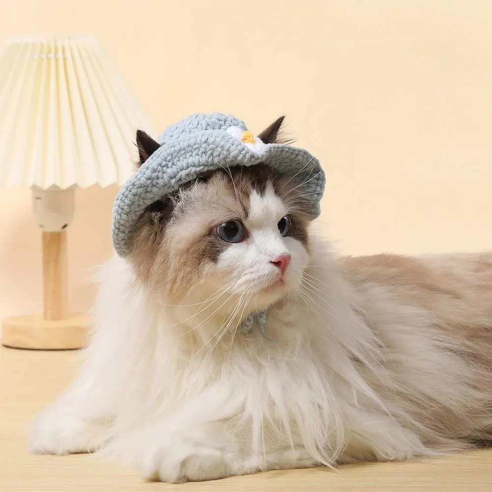 Knitted Cat Hat with Elastic - Autumn Winter Pet Puppy