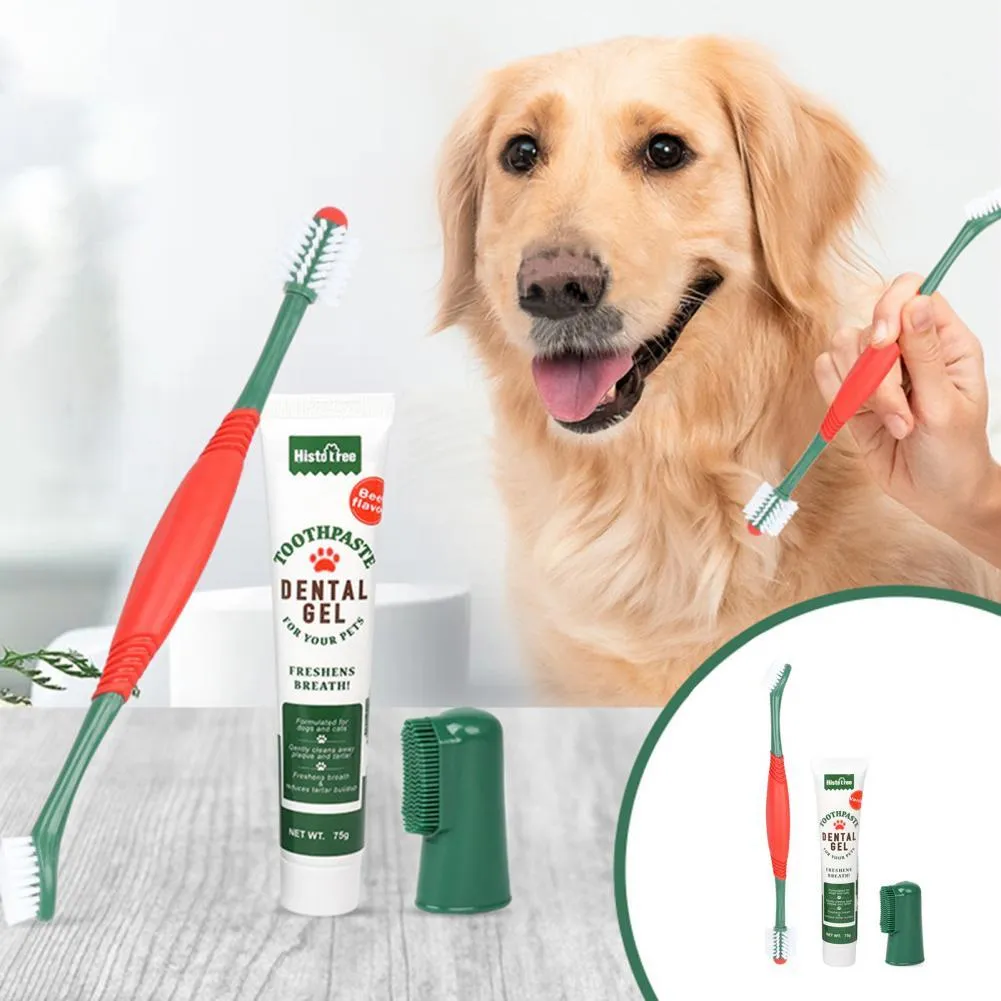 Tooth Paste Best Puppy Toothbrush And Toothpaste Best Toothpaste