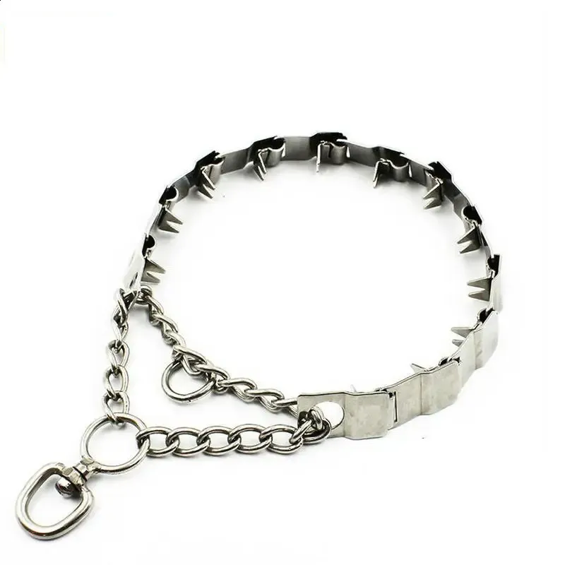 Dog training chain discount