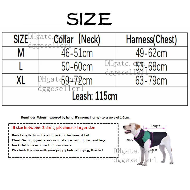 Designer Dog Harness & Leash Set with Classic Letter Print for Large ...