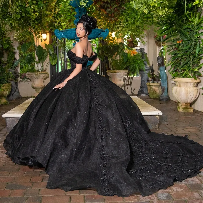 Black Glitter Princess Quinceanera Dress Off The Shoulder Applique Lace  Crystal Corset Lace-up from Dhgate Quinceanera Dresses - price 298.66