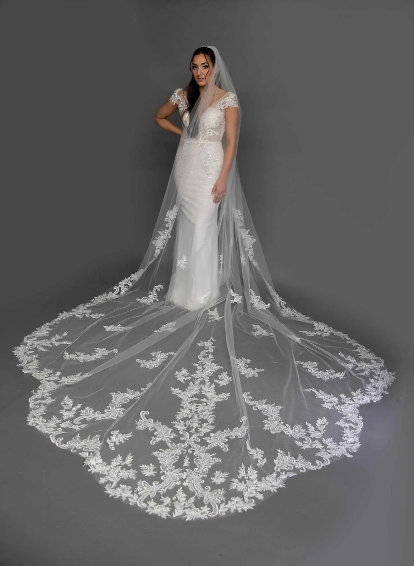 Elegant White Bridal Veil with Lace Details Elegant Lace Wedding Veil With Sparkling Appliqués, Long  main image 4