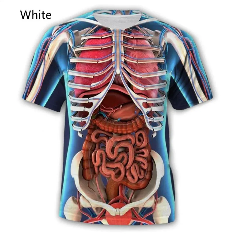 Wholesale Skeleton Shirts: Anatomical Body Organs 3D Print Tee