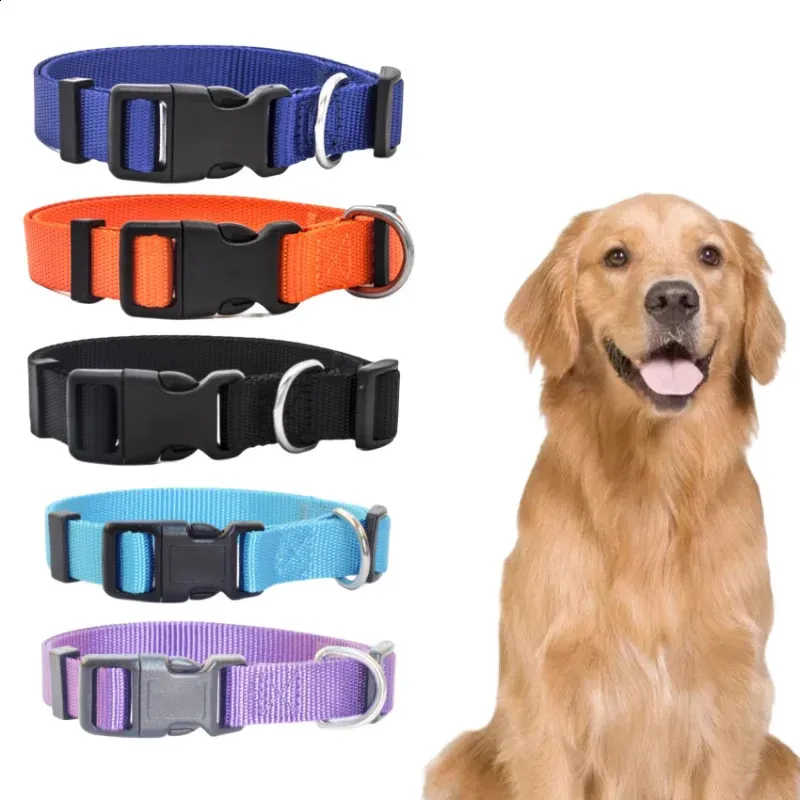 Neck band for dogs online