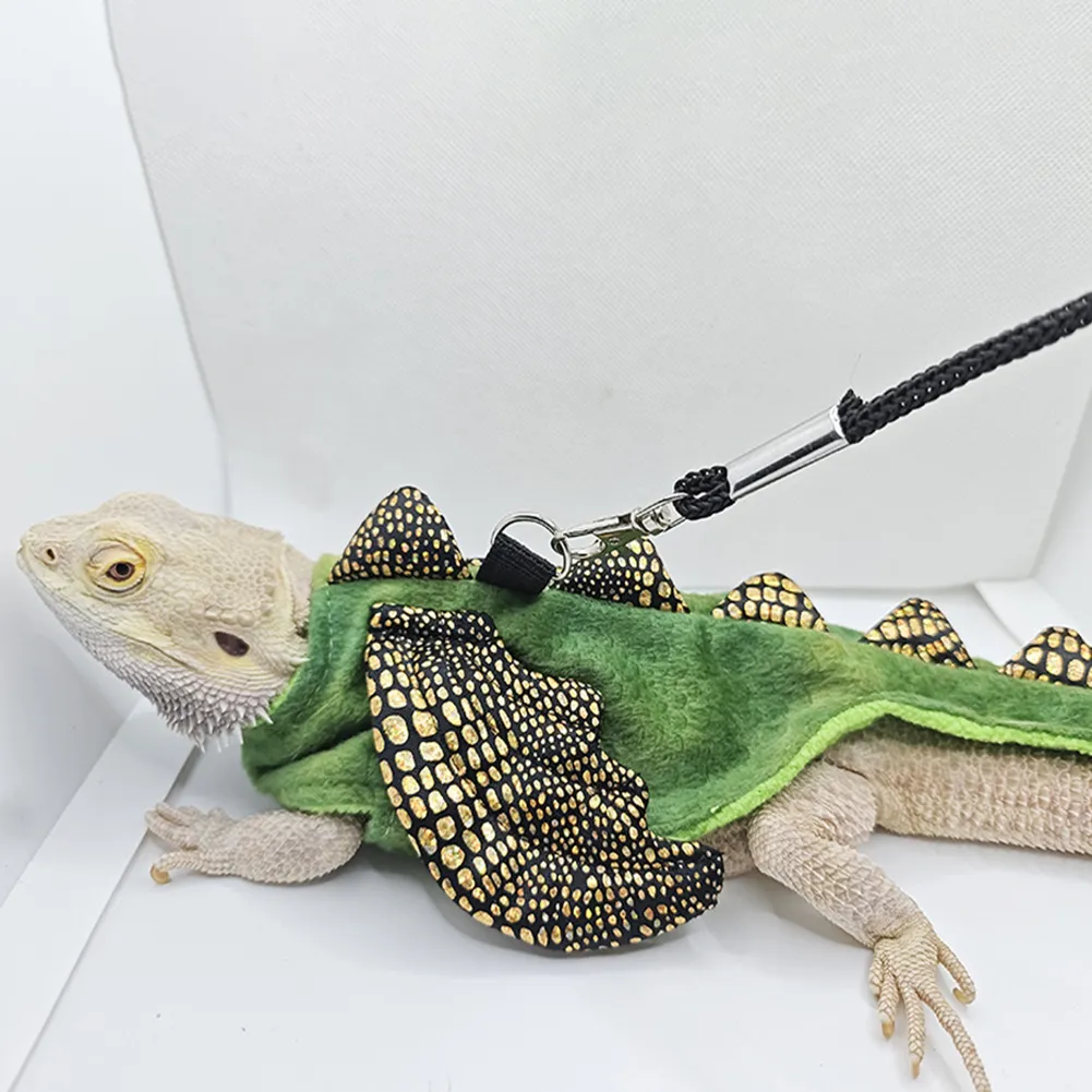 Bearded dragon harness and leash online