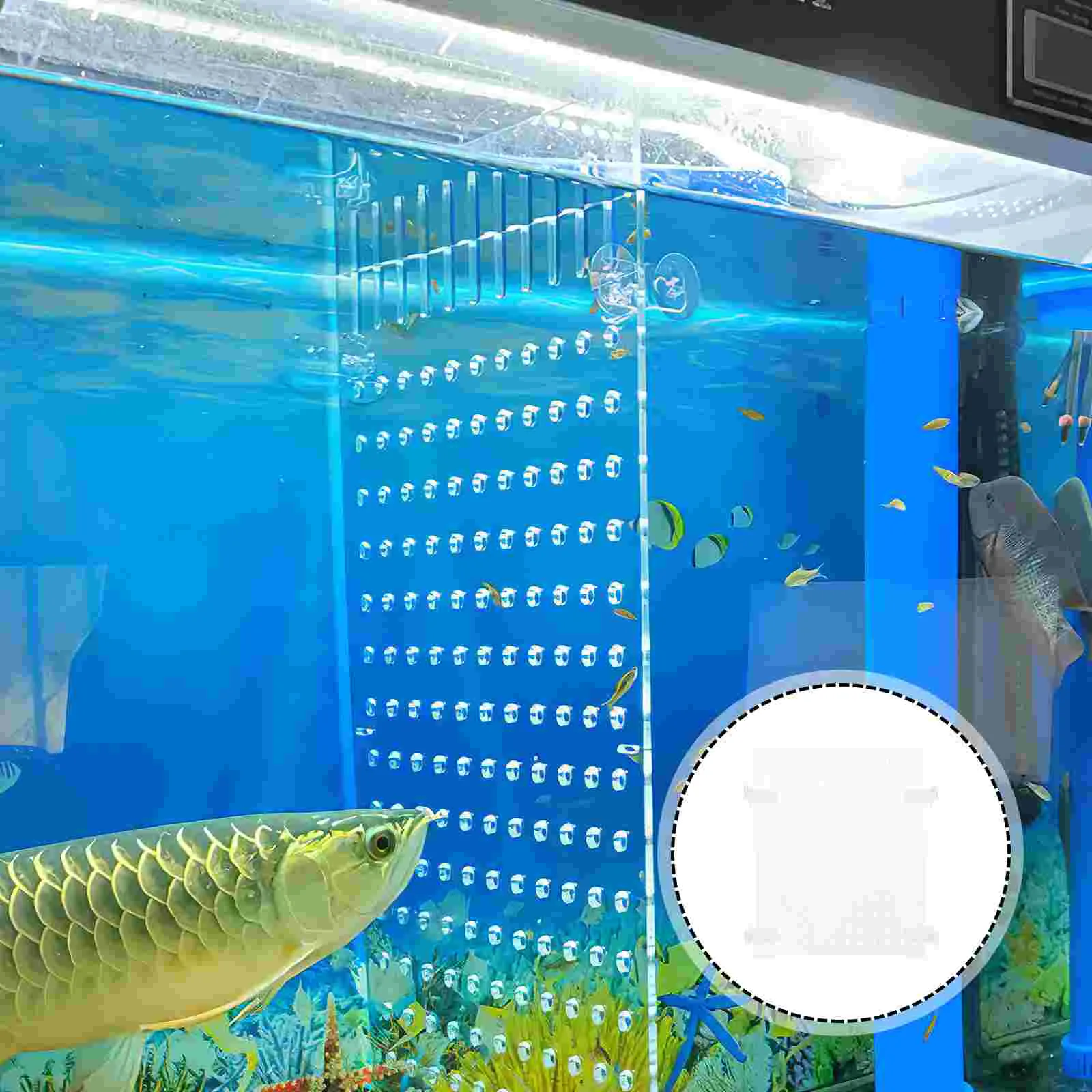 buy fishing reel online Fishing reel online India  Fishingmonk
