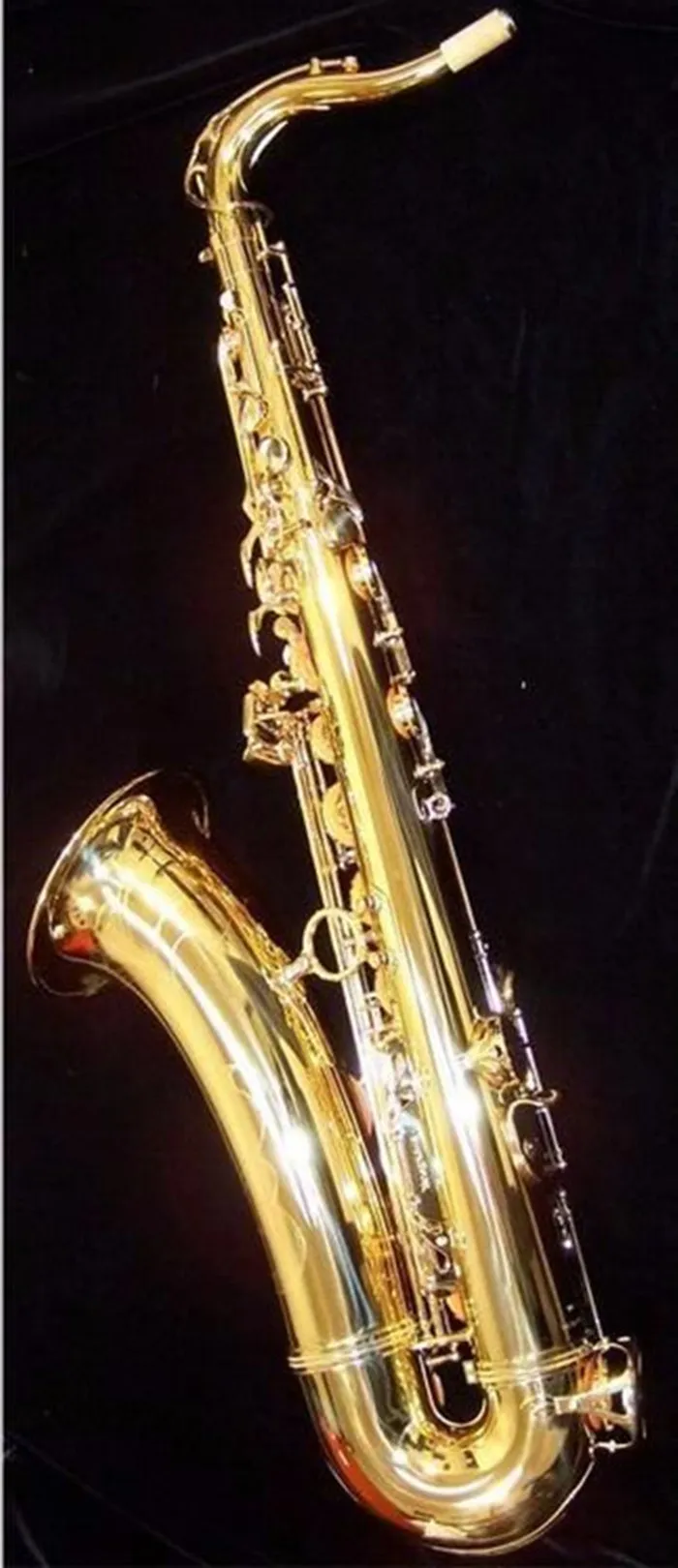 値下げ交渉⭕️ BG Tradition Gold lacquered A.sax - メルカリ