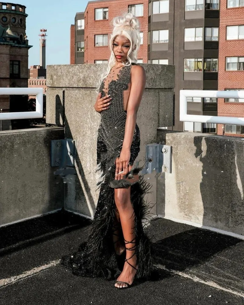 black prom dresses 2024 Tiffany Taylor 2024 Oscars Black Tulle Red Carpet A-Line Dress main image 1