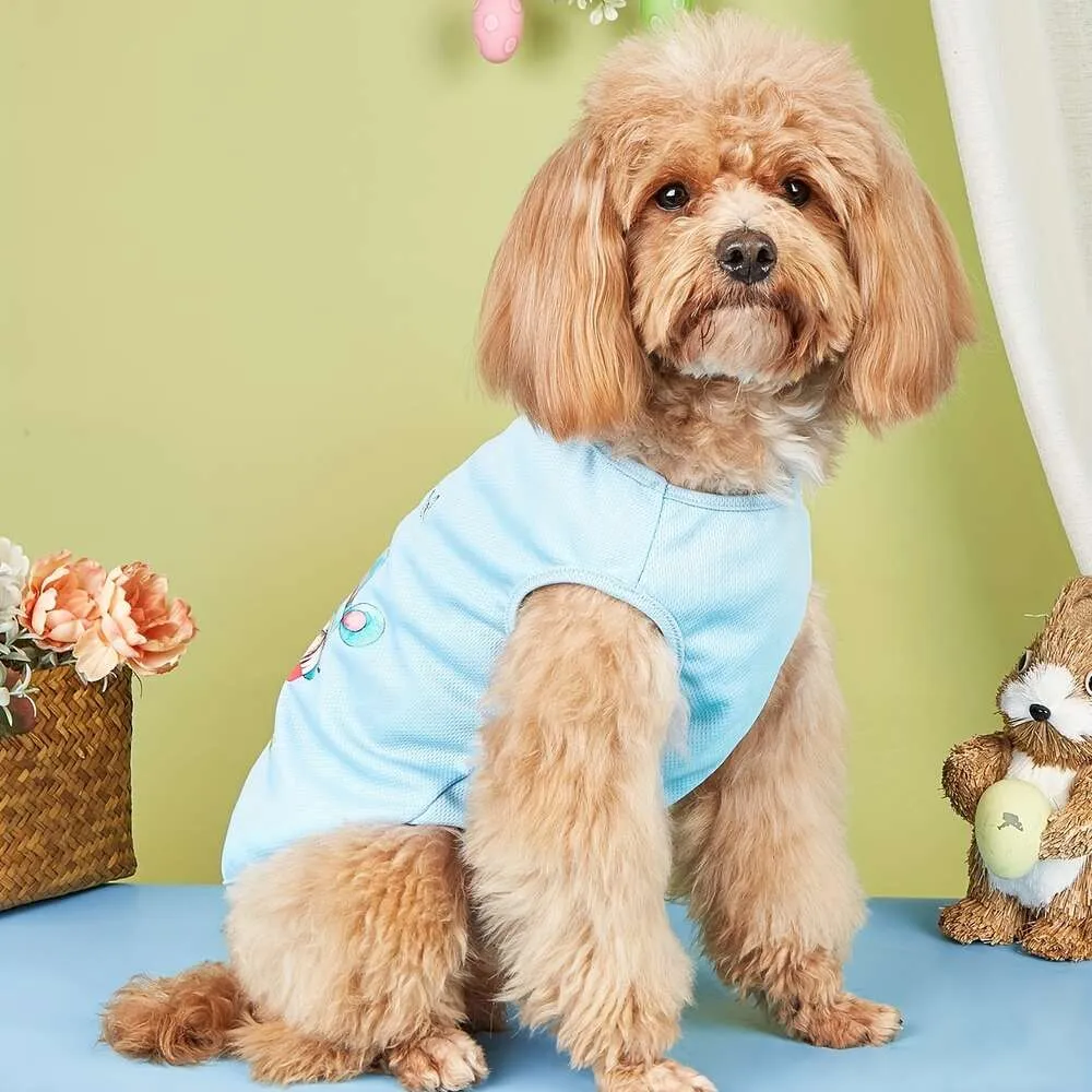 Adorable Easter Bunny Dog Costume: Blue Rabbit Vest for Small Medium Dogs  Shop Now!