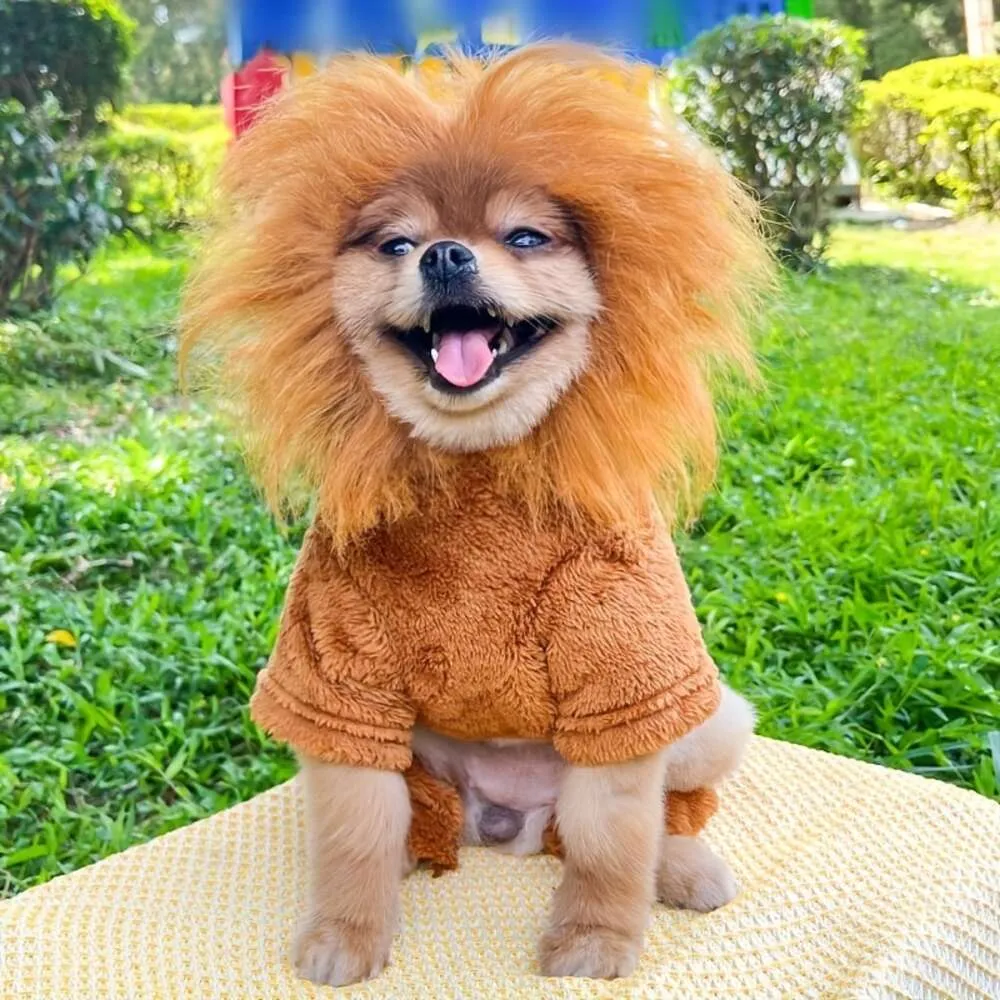 Halloween Lion Costume for Dogs Cozy Fleece Pet Clothes for Small,  Medium, and Large Breeds