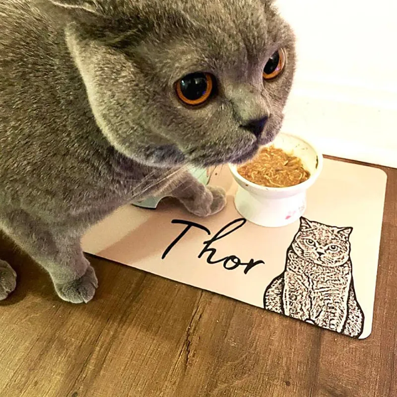 Cat food mat personalized hotsell