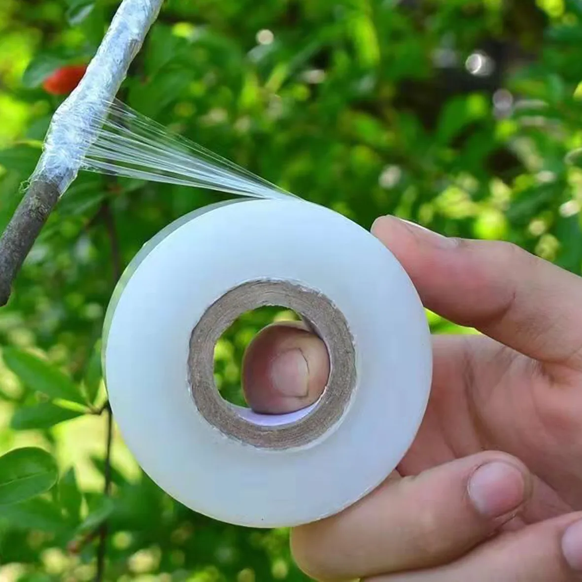 Transparent Garden Bind Tape, Garden Grafting Tape , With Elasticity Floral Fruit Tree And Poly Budding Tape For Fruit Trees Green
