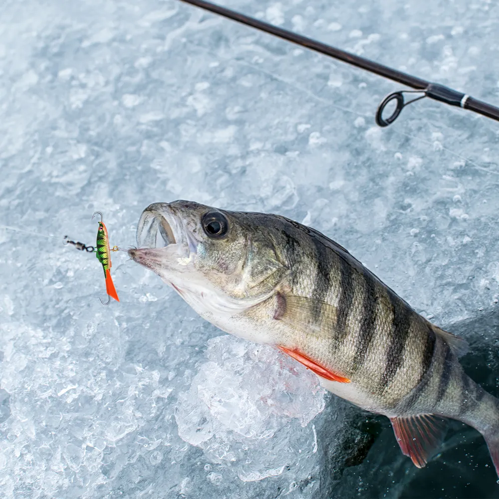 choosing the right fly reel line How To Choose A Fly Reel And Line | by Travis Dailey | Fishing with a Fly