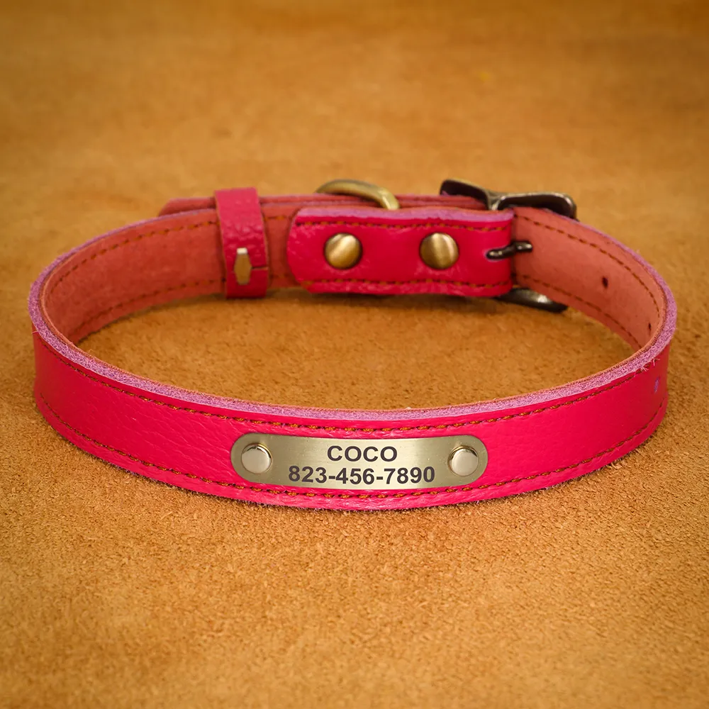 Dog Tag Coco Chanel Dog Collar Cat Collar And ID Tag: Personalized